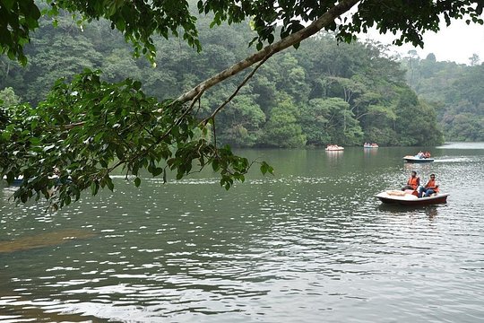 Tour image 7