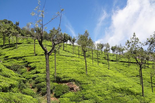 Tour image 7