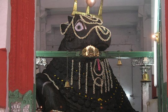 Tour image 5