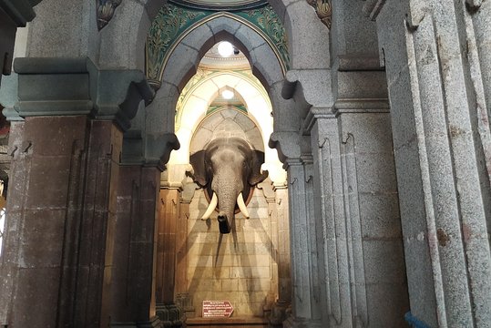 Tour image 12