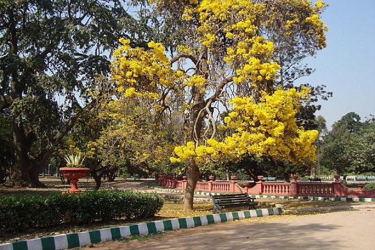 Tour image 8
