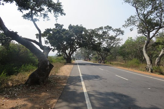 Tour image 9